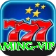 Pak67 Gaming VIP